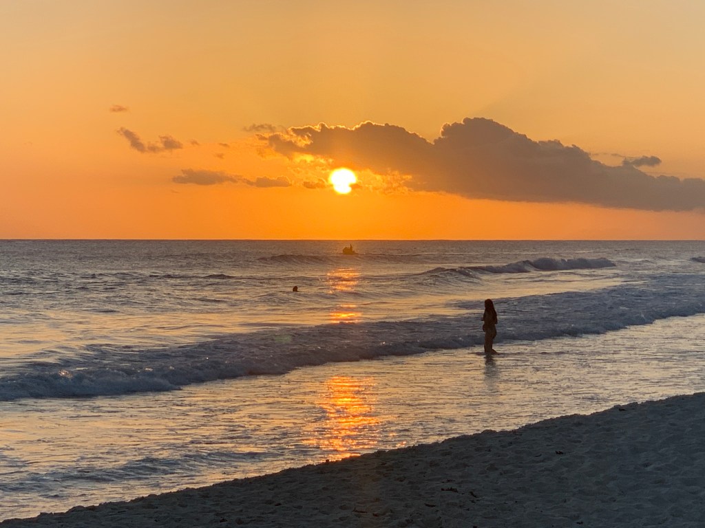 The Tropical daze show